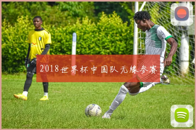 2018世界杯中国队无缘参赛
